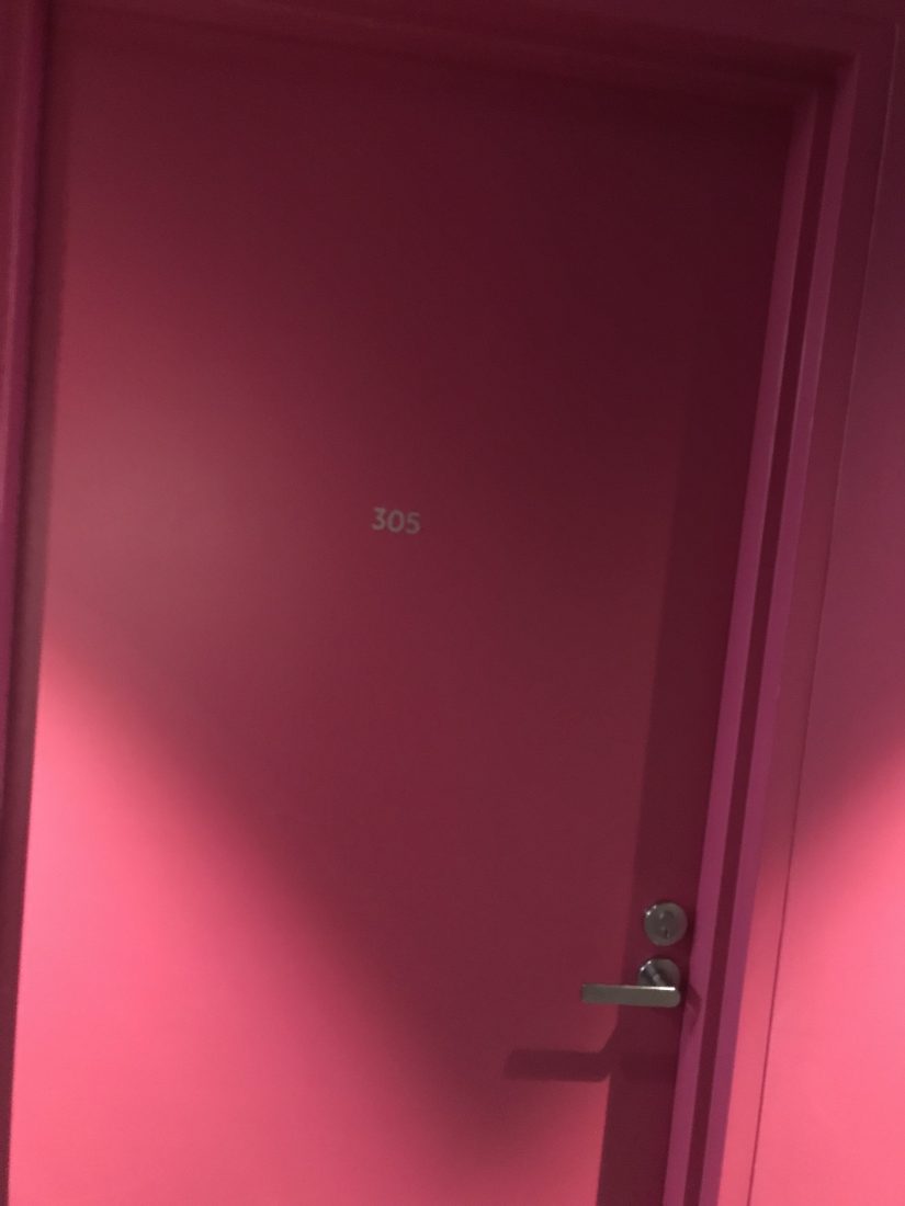 civic pink door 305 civic pink door 305